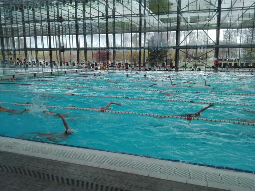 IMG-20190411-WA0002 (1)